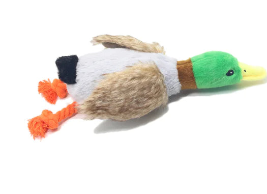 Quack Sound Plush Dog Toy