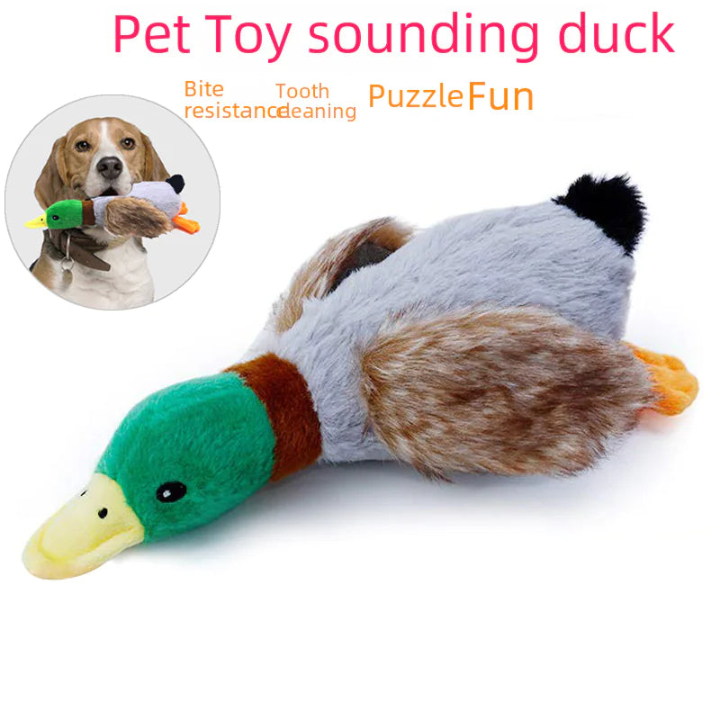 Quack Sound Plush Dog Toy