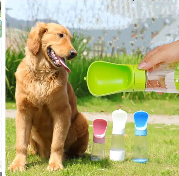 2-in-1 Portable Dog Water Bottle
