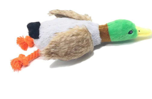 Quack Sound Plush Dog Toy