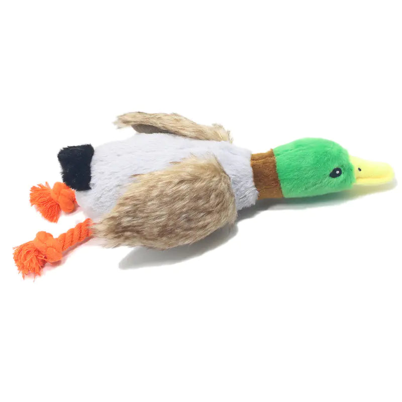 Quack Sound Plush Dog Toy