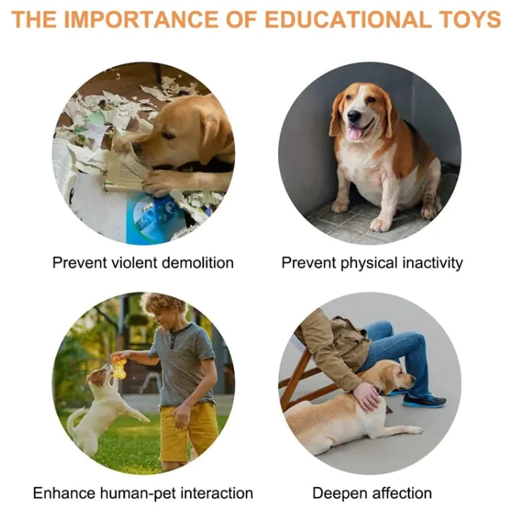 Interactive Pet Toy - Engaging Play Toy for Dogs & Cats | Durable & Safe