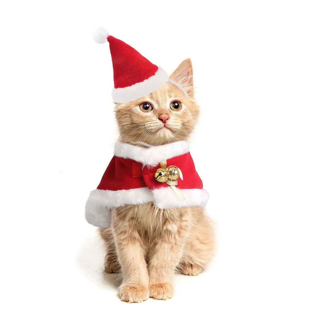LESYPET Cat Santa Hat & Cloak - Christmas Costume for Cats & Small Dogs | New